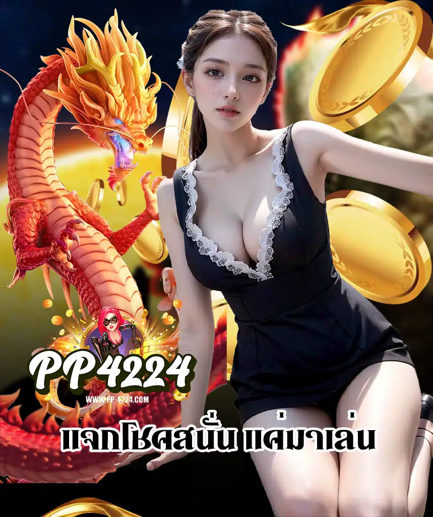 pp4224 โปรโมชั่น